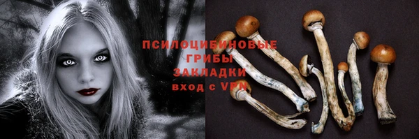 герыч Аркадак
