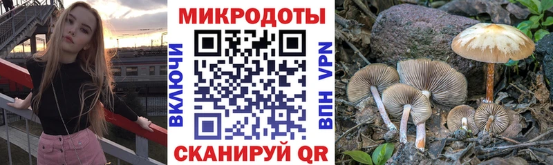Псилоцибиновые грибы мухоморы  Тында 